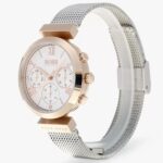 1502427-hugo-boss-watch-women-silver-dial-stainless-steel-metal-mesh-strap-quartz-analog-day-date-month-classic-sport